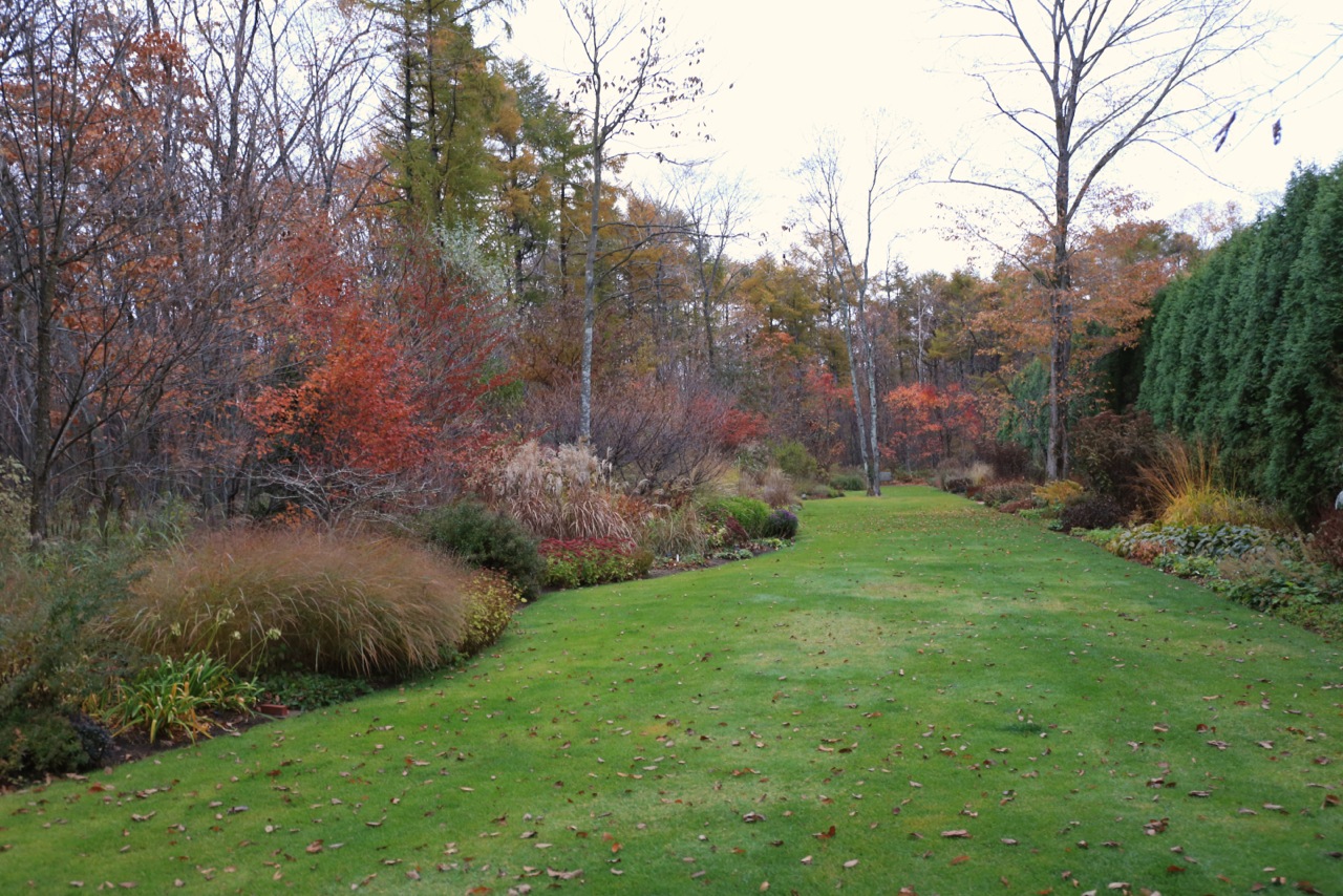 b0168859_2147515.jpg