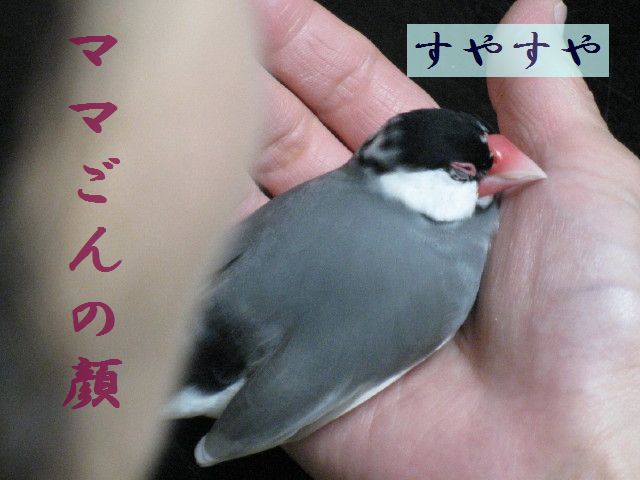 b0158061_2232862.jpg