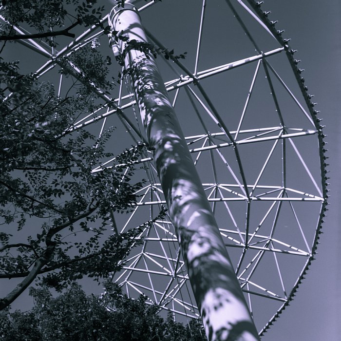 b0175964_21444573.jpg