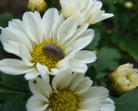 e0278968_21240731.jpg