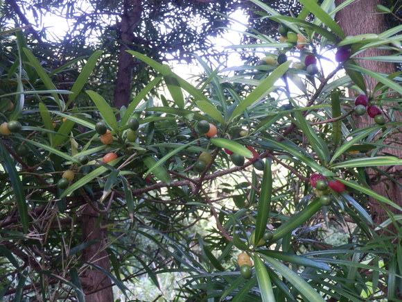 e0292172_20421044.jpg