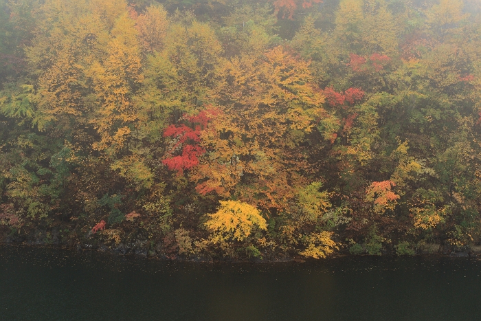 f0115475_11175210.jpg