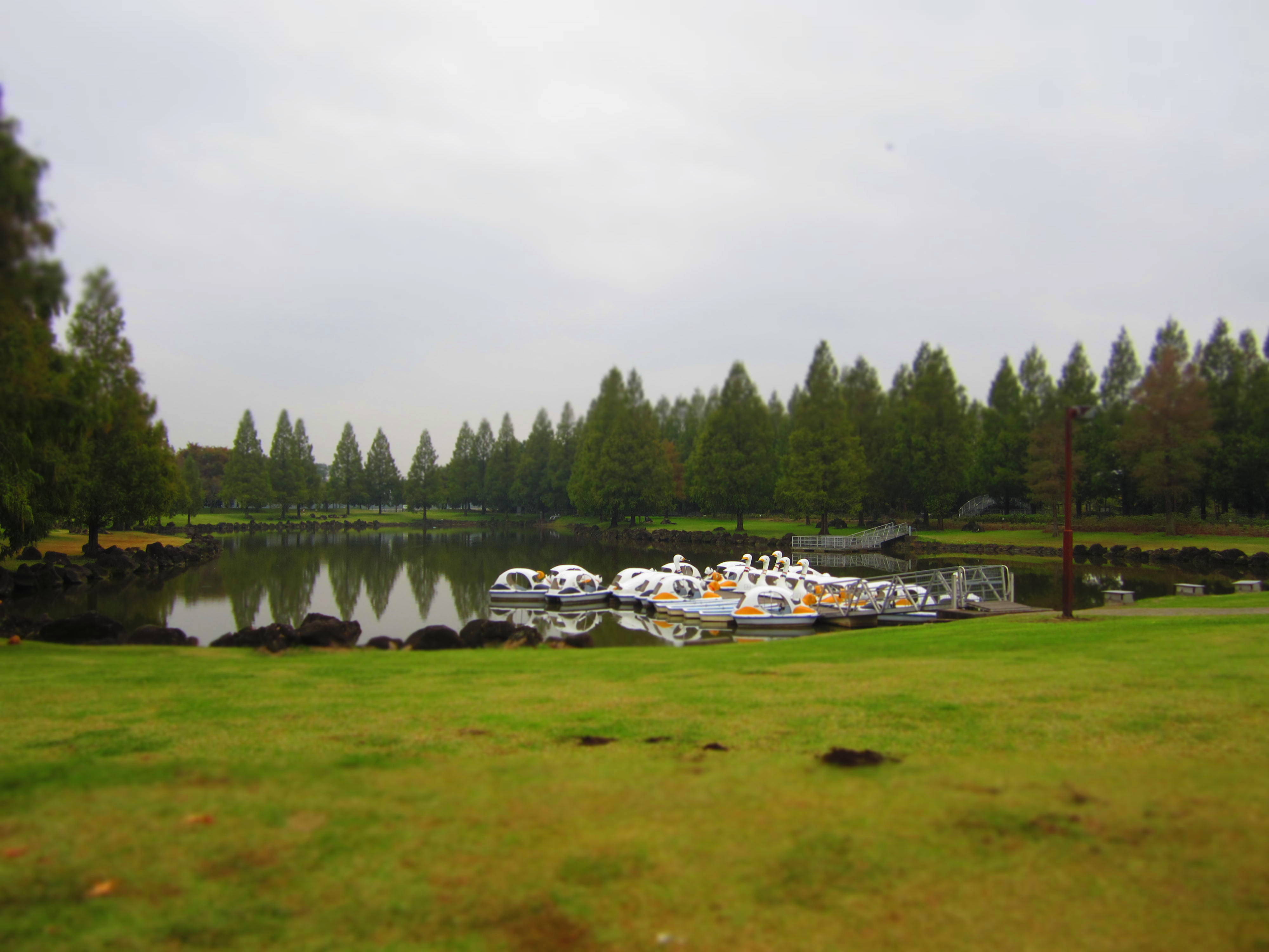 d0264176_18443062.jpg