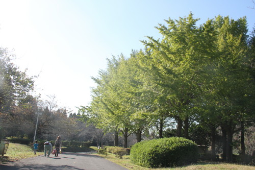 e0114977_9321555.jpg