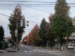 a0075779_2164211.jpg