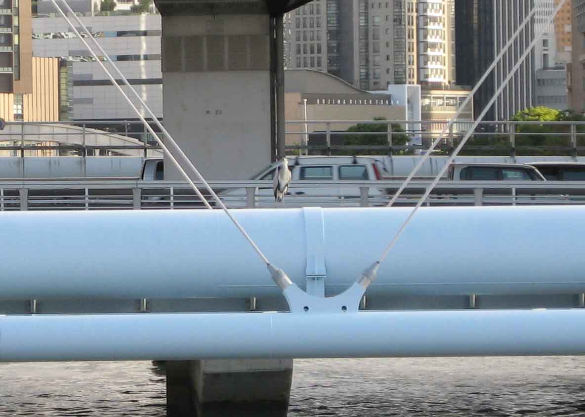 b0057679_9411272.jpg