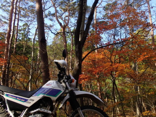 a0279883_14442931.jpg