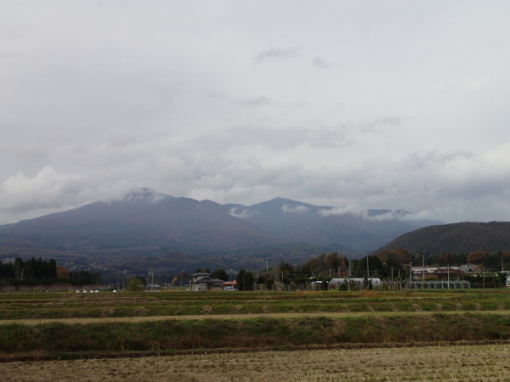 a0279883_16441647.jpg