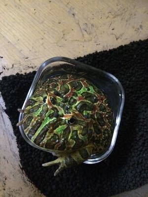 e0060585_10235231.jpg