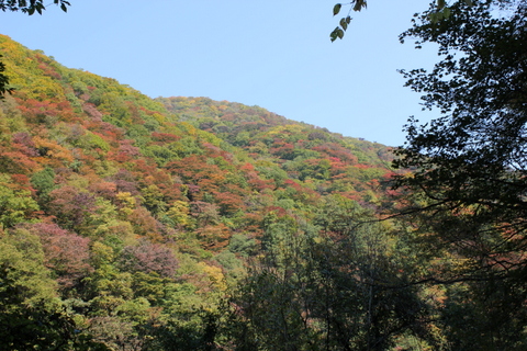 b0165088_23161435.jpg