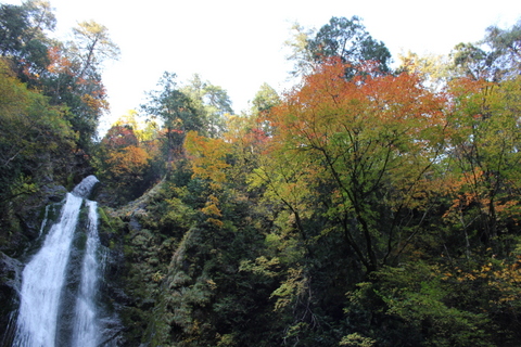 b0165088_23182427.jpg