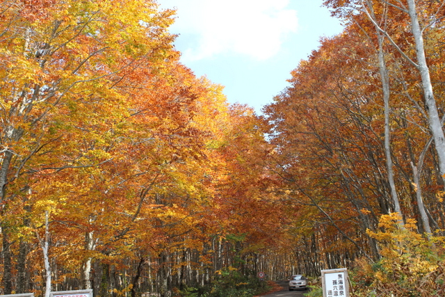 b0165088_23214386.jpg