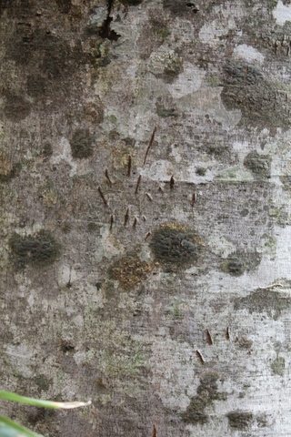 b0165088_23253671.jpg