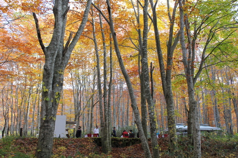 b0165088_23265762.jpg