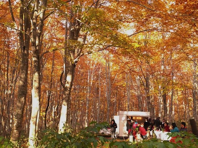 b0165088_233559100.jpg