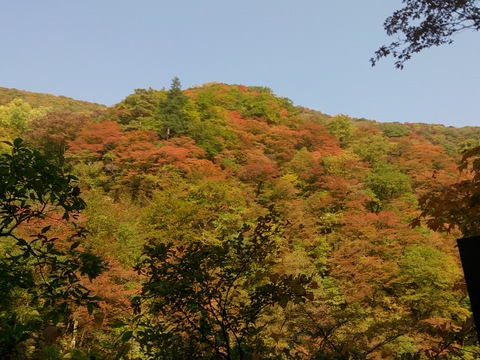 b0165088_23394546.jpg