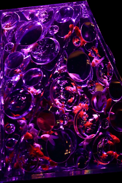e0051888_622576.jpg