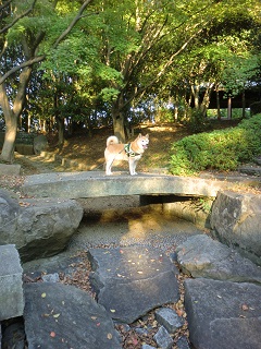 e0023790_2244091.jpg