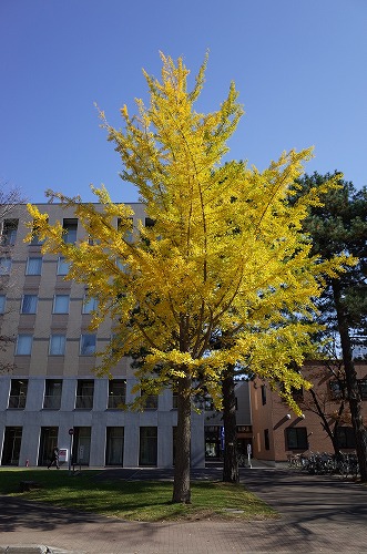 b0119493_15115922.jpg