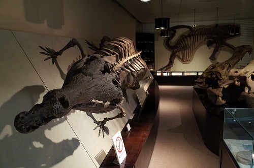b0119493_151558100.jpg