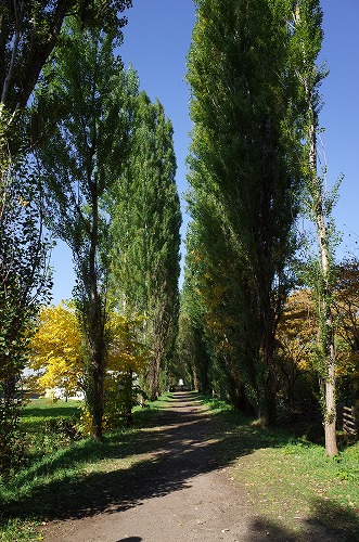 b0119493_15212331.jpg