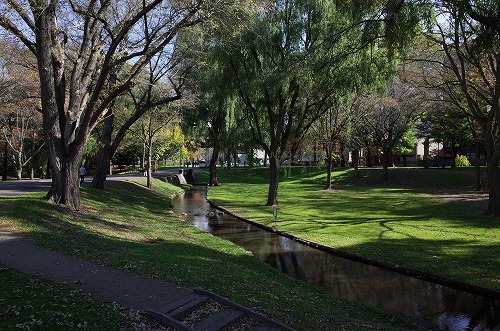 b0119493_153232.jpg