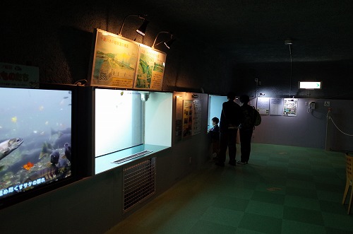 b0119493_16512974.jpg