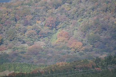 e0158895_18143834.jpg