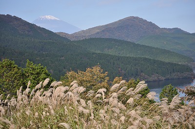 e0158895_1895362.jpg