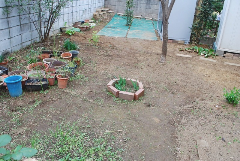 e0025300_18352536.jpg