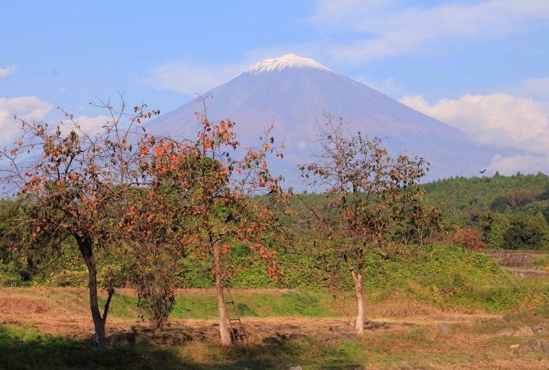 a0188405_15014767.jpg