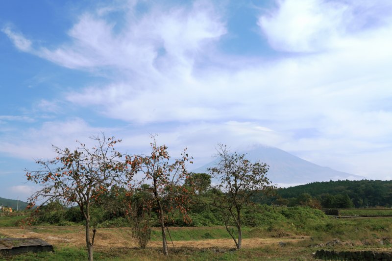 a0188405_15021075.jpg