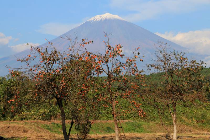 a0188405_15021509.jpg