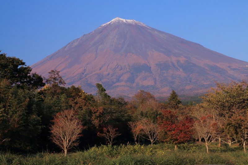 a0188405_16170007.jpg