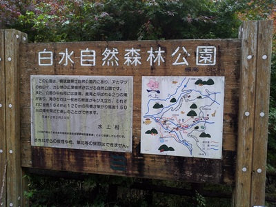 f0061705_22185528.jpg