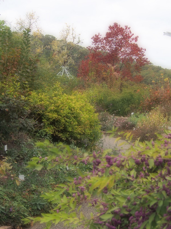 d0001008_1254780.jpg
