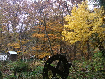 f0161708_22185871.jpg
