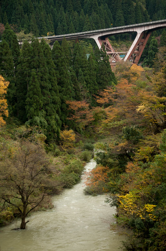a0278914_1284528.jpg