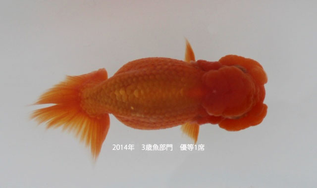c0162817_947857.jpg