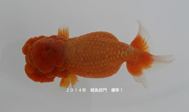c0162817_9484043.jpg