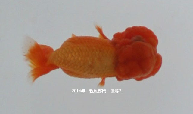 c0162817_9485366.jpg