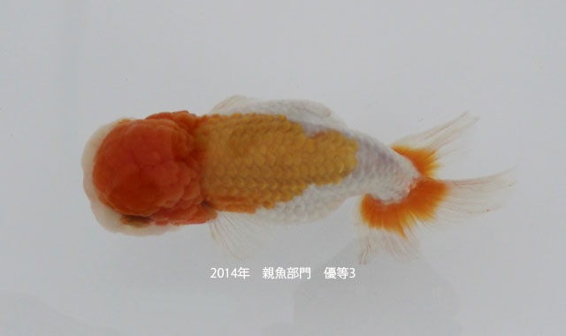 c0162817_949455.jpg
