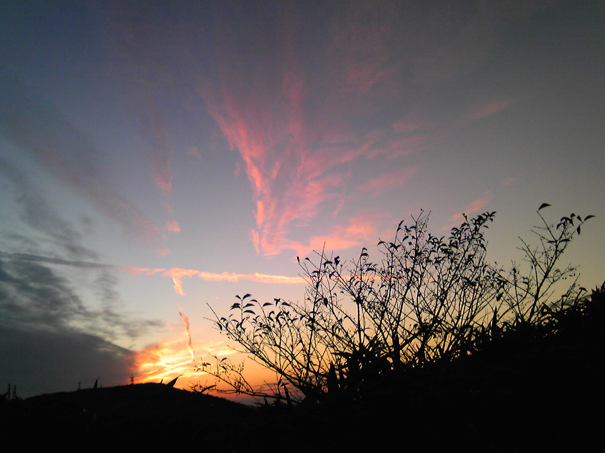 b0285619_8503769.jpg