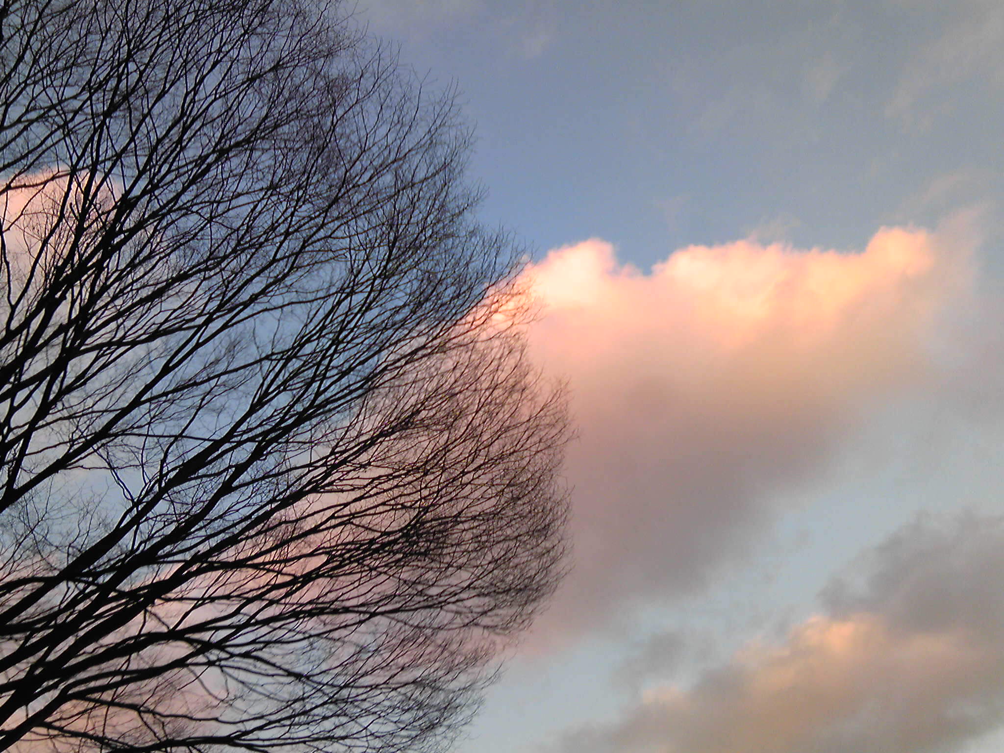 b0285619_8592095.jpg