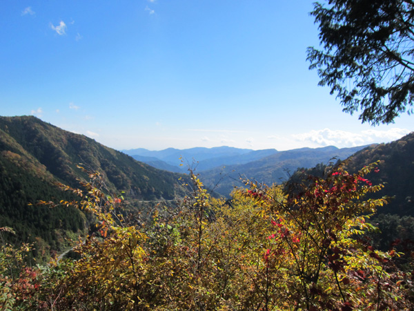 e0244621_2059124.jpg