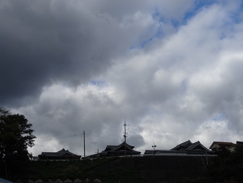 f0000521_17333757.jpg