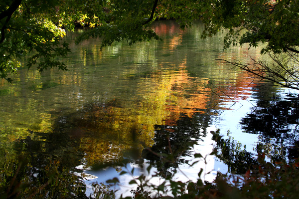 e0071225_3143644.jpg