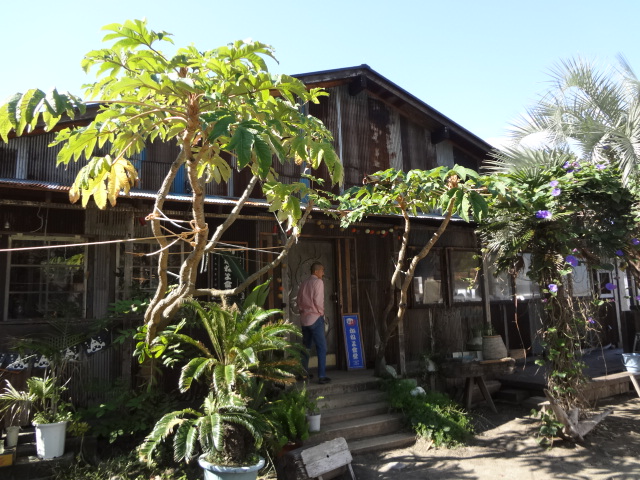 f0148927_1149985.jpg