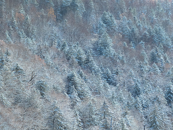 e0025030_8442382.jpg