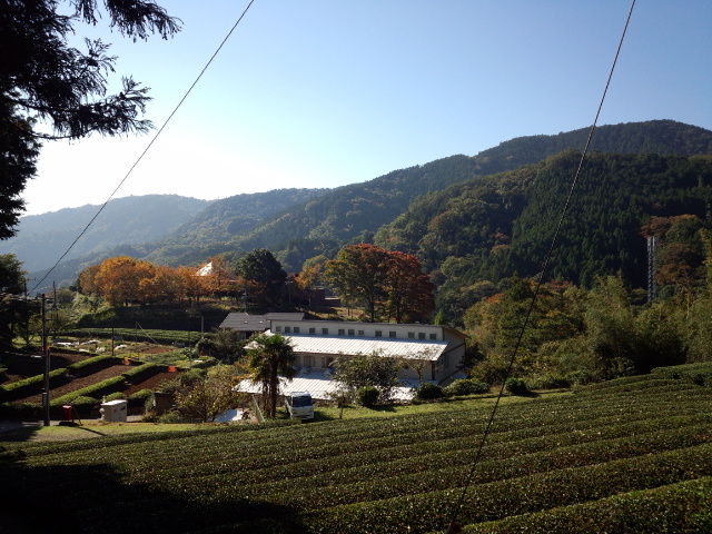 a0048040_100248.jpg